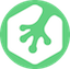 Treehouse icon